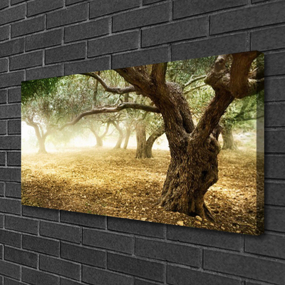 Canvas Kunstdruck Bäume Gras Natur