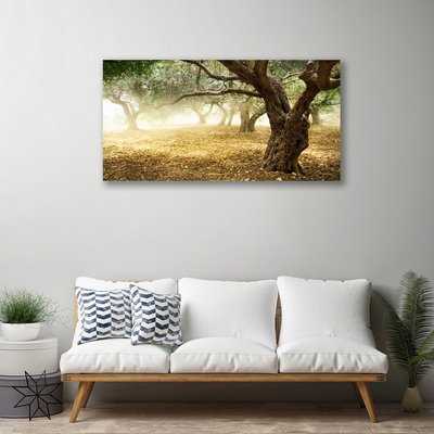 Canvas Kunstdruck Bäume Gras Natur