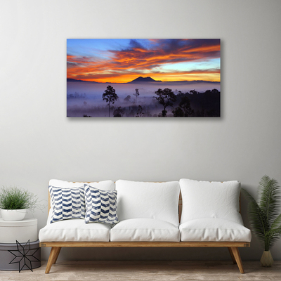 Canvas Kunstdruck Bäume Nebel Landschaft