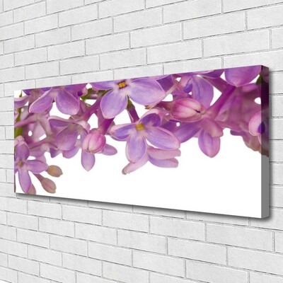 Canvas Kunstdruck Blumen Pflanzen