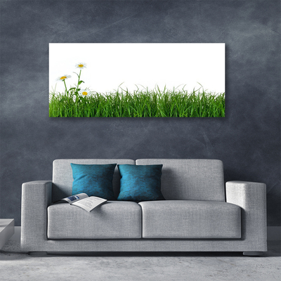 Canvas Kunstdruck Gras Natur