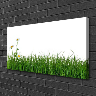 Canvas Kunstdruck Gras Natur