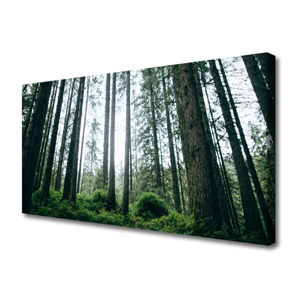 Canvas Kunstdruck Wald Natur