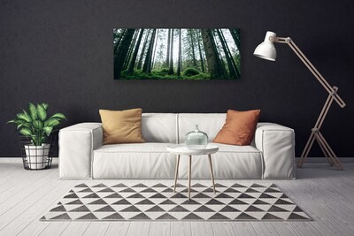 Canvas Kunstdruck Wald Natur