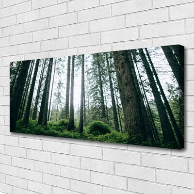 Canvas Kunstdruck Wald Natur