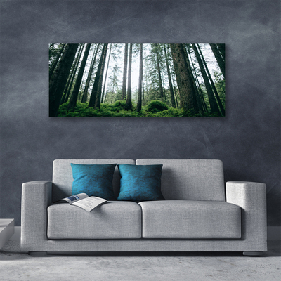 Canvas Kunstdruck Wald Natur