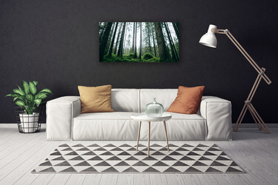 Canvas Kunstdruck Wald Natur