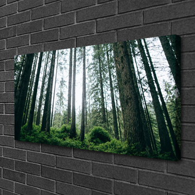 Canvas Kunstdruck Wald Natur