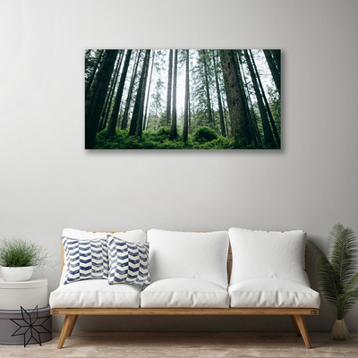 Canvas Kunstdruck Wald Natur