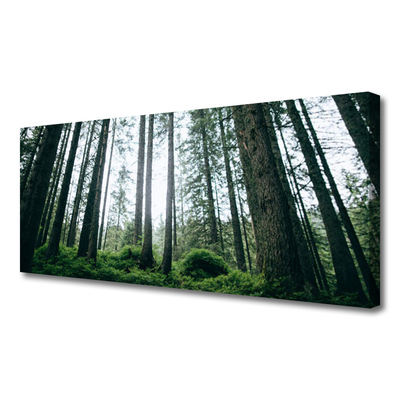 Canvas Kunstdruck Wald Natur