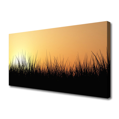 Canvas Kunstdruck Gras Natur