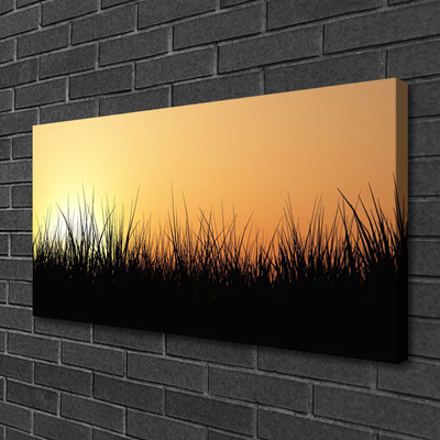 Canvas Kunstdruck Gras Natur