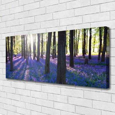 Canvas Kunstdruck Wald Natur