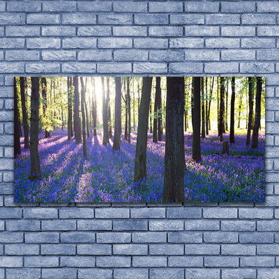 Canvas Kunstdruck Wald Natur