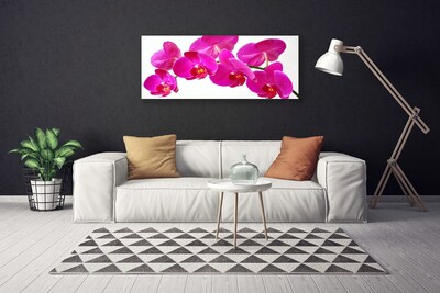 Canvas Kunstdruck Blumen Pflanzen