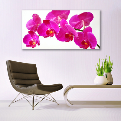 Canvas Kunstdruck Blumen Pflanzen