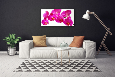 Canvas Kunstdruck Blumen Pflanzen