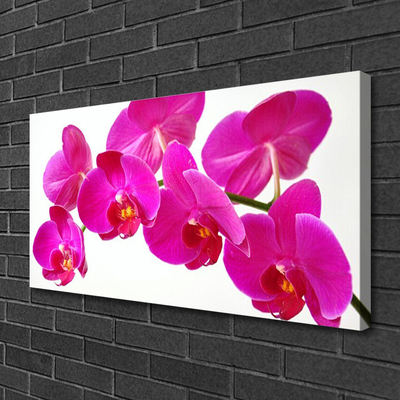 Canvas Kunstdruck Blumen Pflanzen