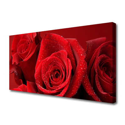 Canvas Kunstdruck Rosen Pflanzen