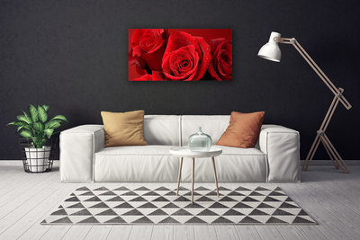 Canvas Kunstdruck Rosen Pflanzen