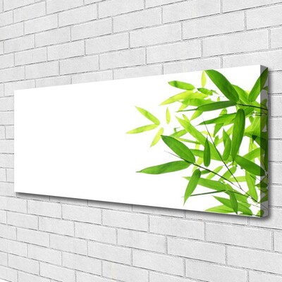 Canvas Kunstdruck Blätter Pflanzen