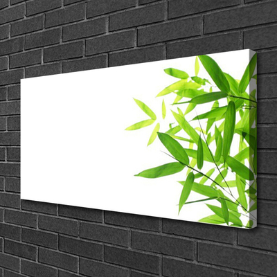 Canvas Kunstdruck Blätter Pflanzen