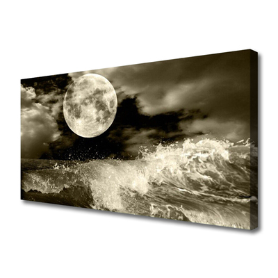 Canvas Kunstdruck Nacht Mond Landschaft