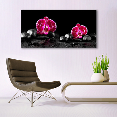 Canvas Kunstdruck Blumen Steine Pflanzen