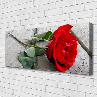 Canvas Kunstdruck Rose Pflanzen