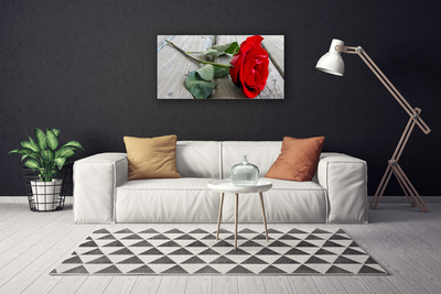 Canvas Kunstdruck Rose Pflanzen