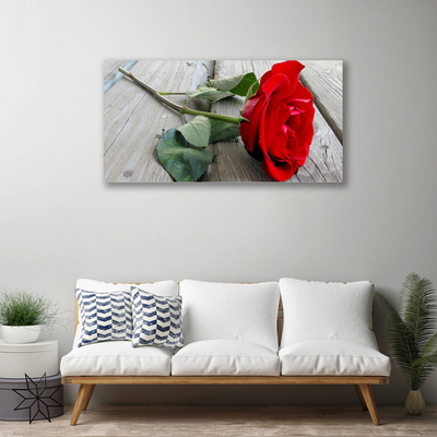 Canvas Kunstdruck Rose Pflanzen