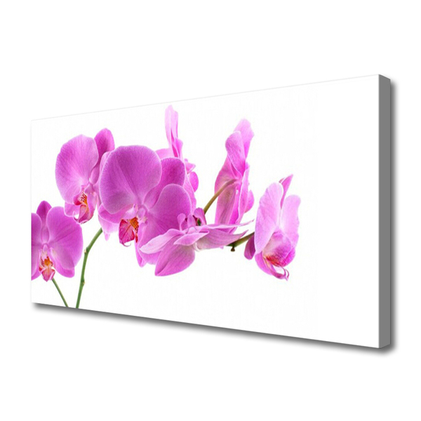 Canvas Kunstdruck Blumen Pflanzen