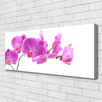 Canvas Kunstdruck Blumen Pflanzen