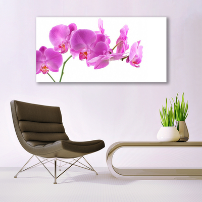 Canvas Kunstdruck Blumen Pflanzen