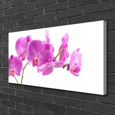 Canvas Kunstdruck Blumen Pflanzen