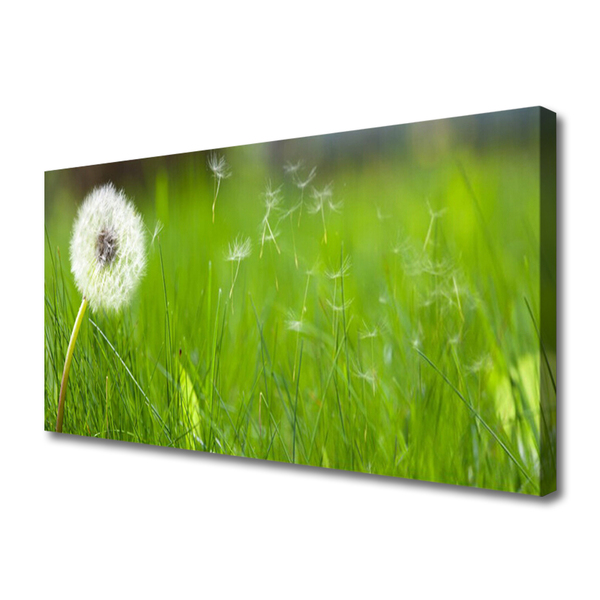 Canvas Kunstdruck Pusteblume Gras Pflanzen