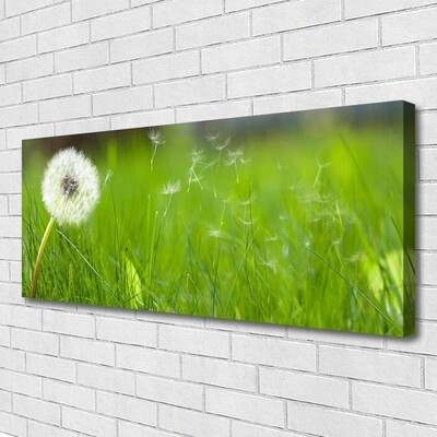 Canvas Kunstdruck Pusteblume Gras Pflanzen