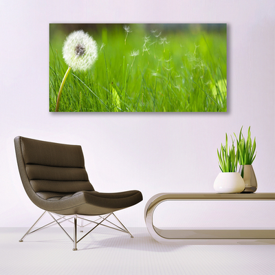 Canvas Kunstdruck Pusteblume Gras Pflanzen