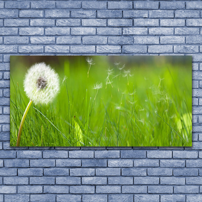 Canvas Kunstdruck Pusteblume Gras Pflanzen