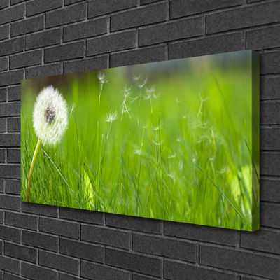 Canvas Kunstdruck Pusteblume Gras Pflanzen