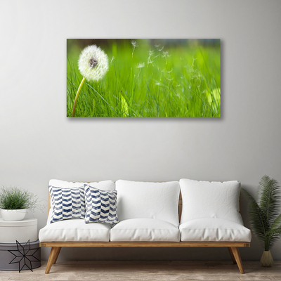 Canvas Kunstdruck Pusteblume Gras Pflanzen