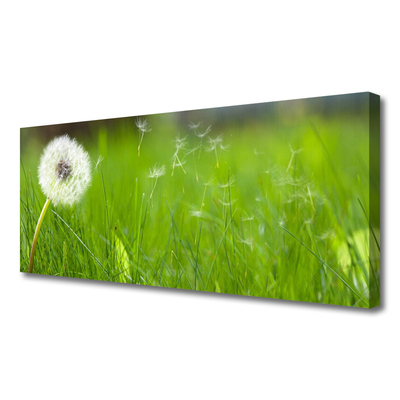 Canvas Kunstdruck Pusteblume Gras Pflanzen