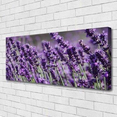 Canvas Kunstdruck Blumen Pflanzen