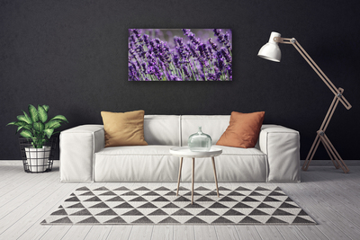 Canvas Kunstdruck Blumen Pflanzen