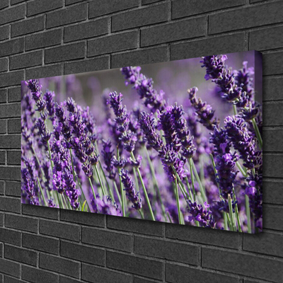 Canvas Kunstdruck Blumen Pflanzen