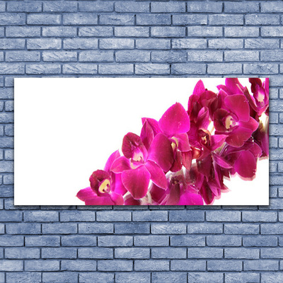 Canvas Kunstdruck Blumen Pflanzen