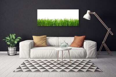 Canvas Kunstdruck Gras Natur