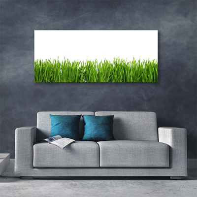 Canvas Kunstdruck Gras Natur