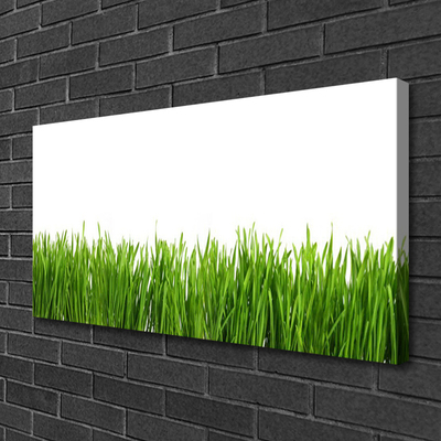 Canvas Kunstdruck Gras Natur