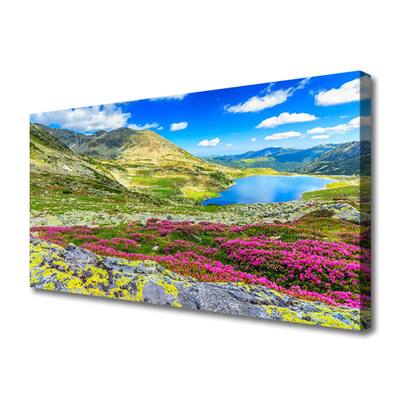 Canvas Kunstdruck Gebirge Bucht Wiese Natur